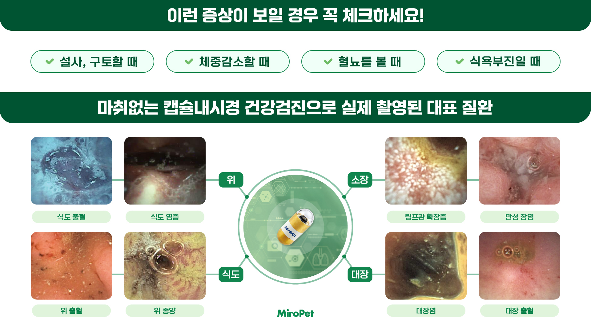 이미지명