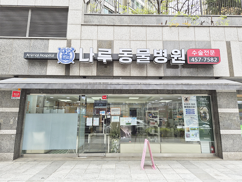 병원전경