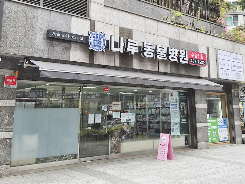 병원전경