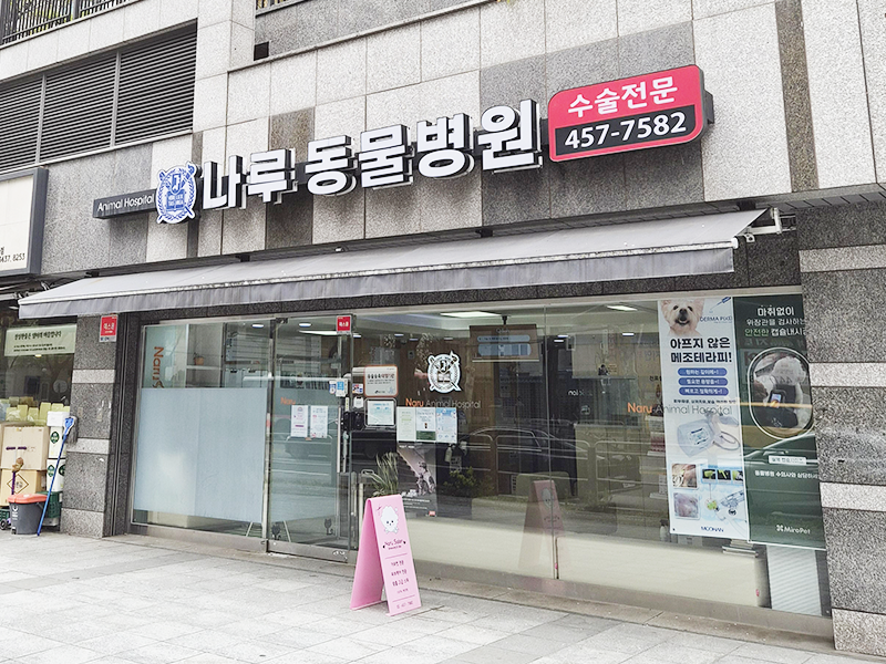 병원전경
